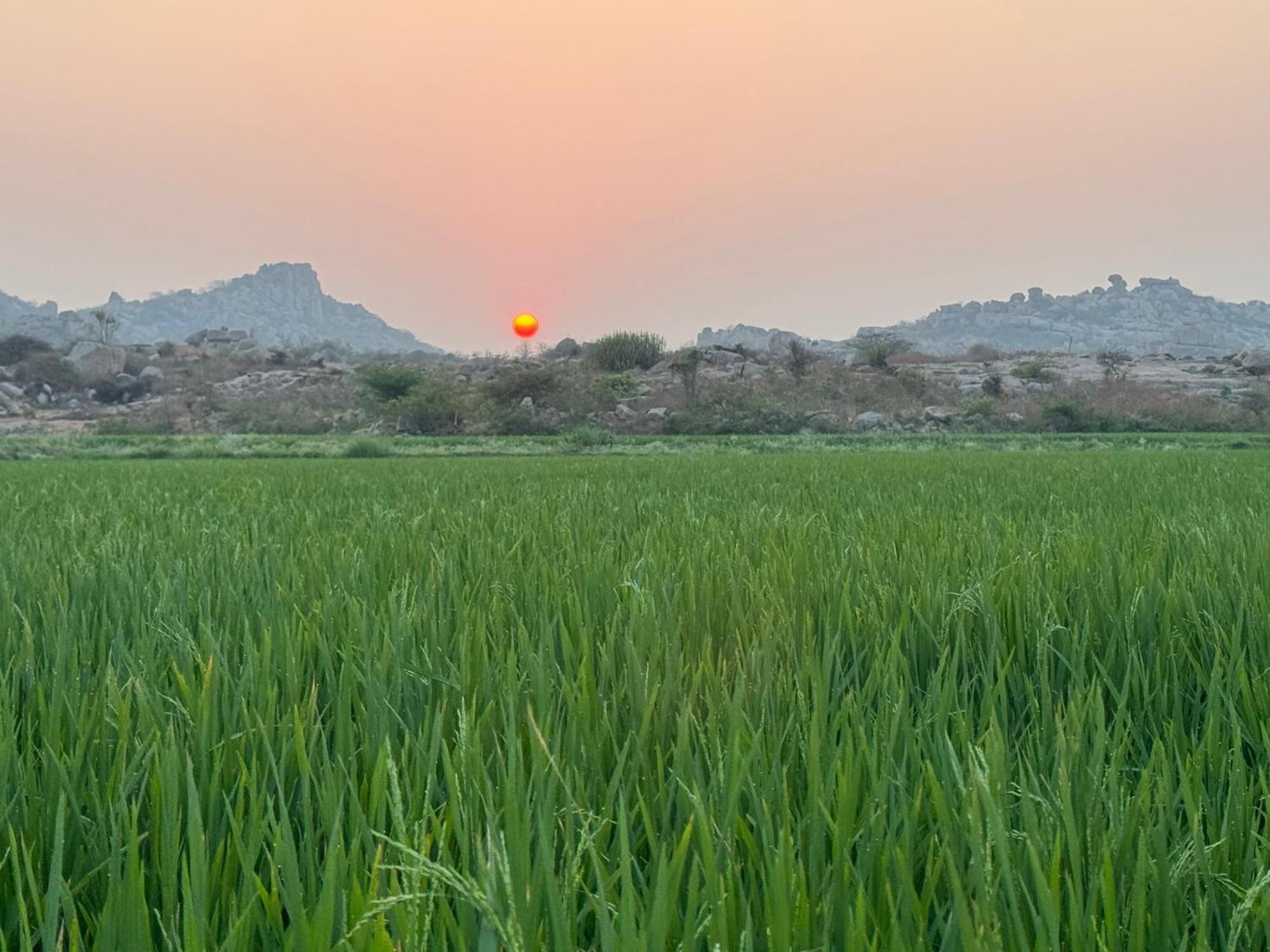 Hill Stone View Hampi Hotel Buitenkant foto